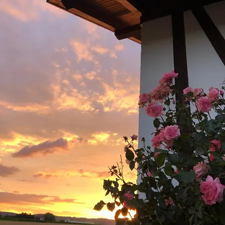 Domaine Des4 Roses Holiday home *